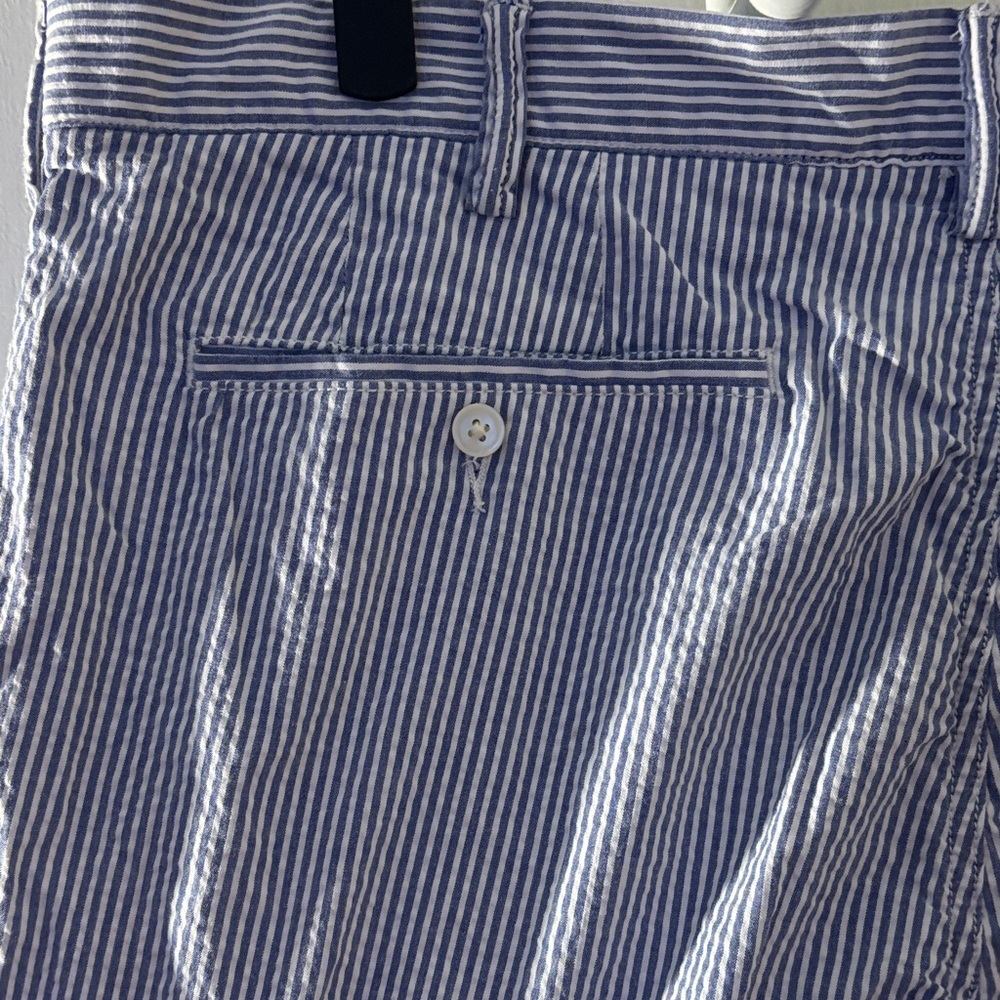 Polo Ralph Lauren Blue and White Striped Men's Shorts - Picture 6 of 16